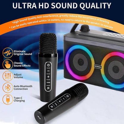 Karaoke Machine, Portable Speaker PA Systerm with 2 Wireless Microphones for Adults and Kids