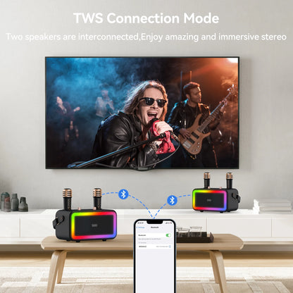 Karaoke Machine with 2 UHF Wireless Microphone, Portable Bluetooth Karaoke with RGB Colorful Light, Reverb Adjustment, PA System Singing Machine Party Karaoke Speaker