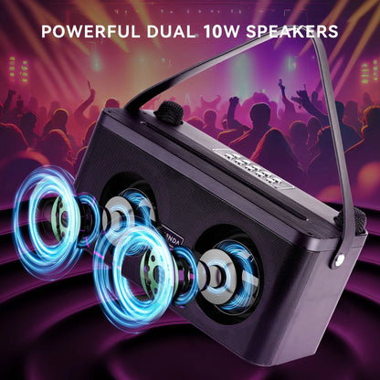 Karaoke Machine, Portable Speaker PA Systerm with 2 Wireless Microphones for Adults and Kids